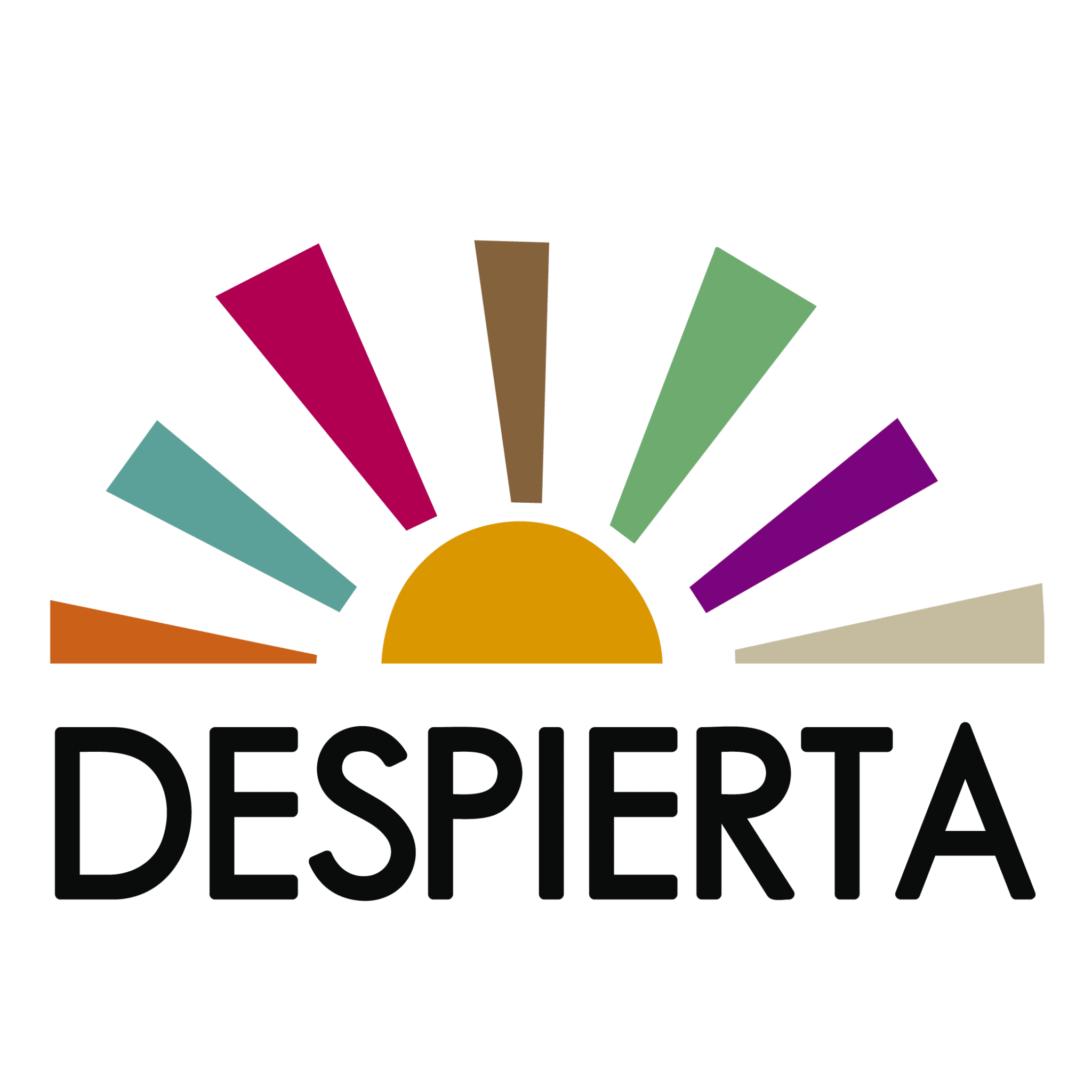 Despierta - Bonita Rising & Bonita Mama Logo